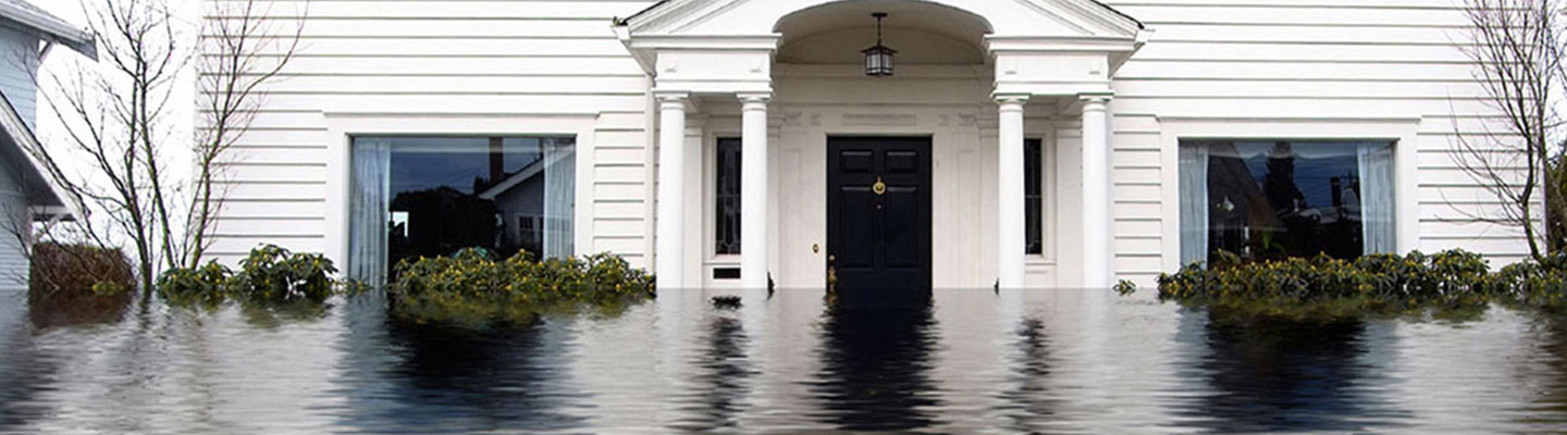 California Flood and Earthquake Insurance Coverage